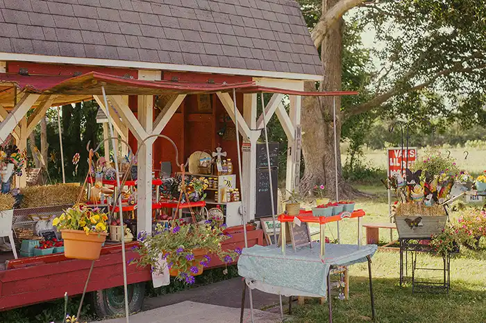 Strawberry stand photograph